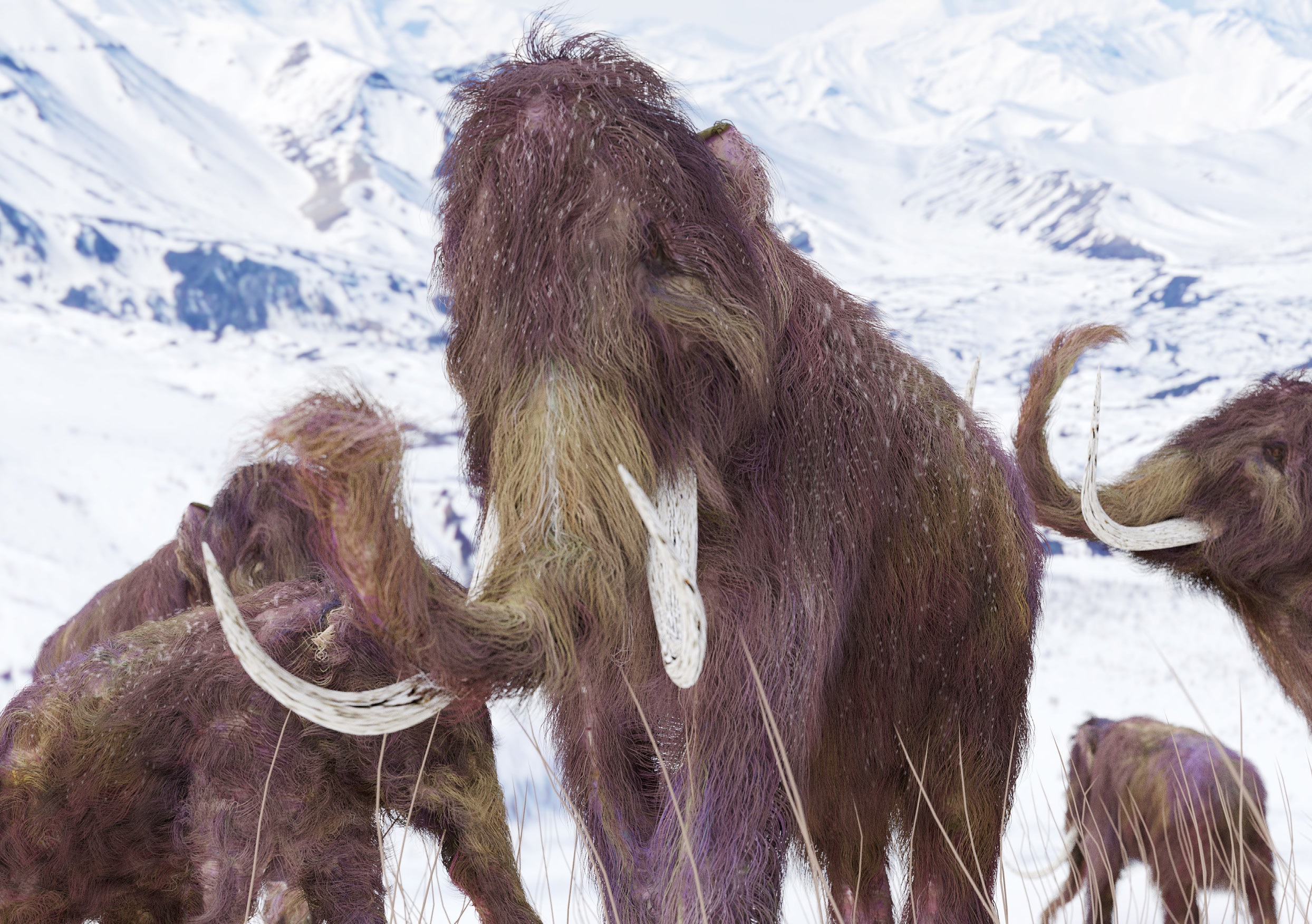 Das Mammut – Rätsel der Eiszeit
